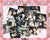 【ideal peco】金沢遠征2026 写ルンです（アタリ付き)